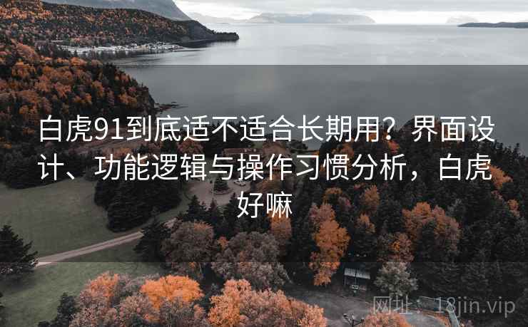 白虎91到底适不适合长期用?界面设计、功能逻辑与操作习惯分析,白虎好嘛 白虎91到底适不适合长期用?界面设计、功能逻辑与操作习惯分析,白虎好嘛