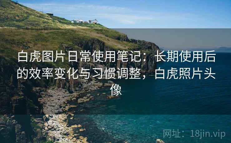 白虎图片日常使用笔记：长期使用后的效率变化与习惯调整，白虎照片头像