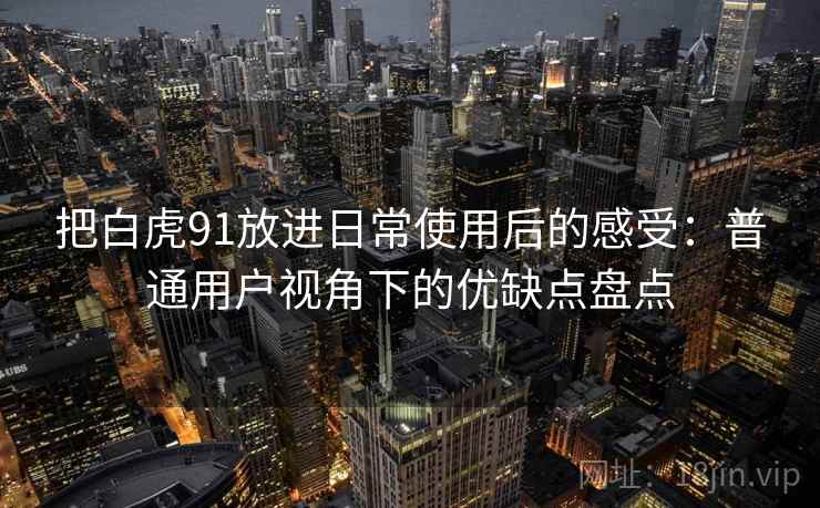 把白虎91放进日常使用后的感受：普通用户视角下的优缺点盘点