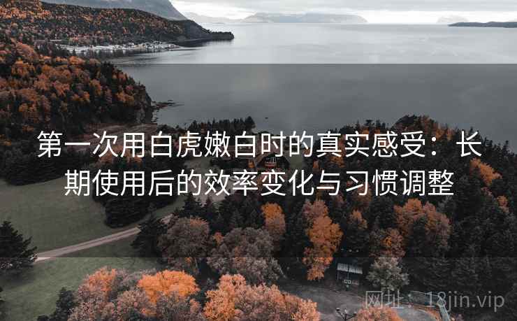 第一次用白虎嫩白时的真实感受:长期使用后的效率变化与习惯调整 第一次用白虎嫩白时的真实感受:长期使用后的效率变化与习惯调整