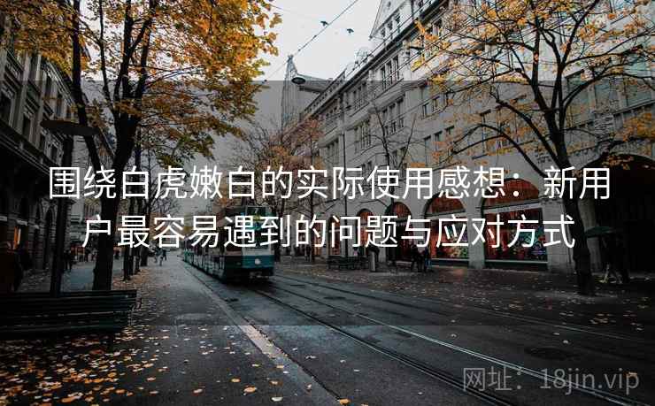围绕白虎嫩白的实际使用感想：新用户最容易遇到的问题与应对方式