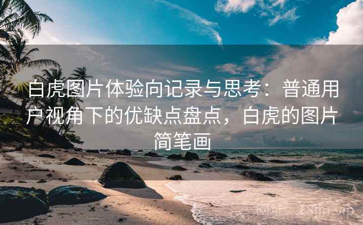 白虎图片体验向记录与思考：普通用户视角下的优缺点盘点，白虎的图片简笔画