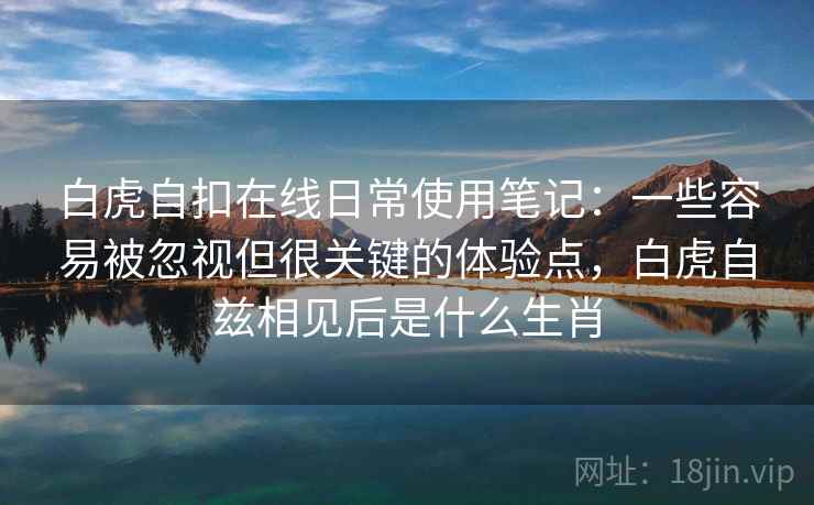 白虎自扣在线日常使用笔记：一些容易被忽视但很关键的体验点，白虎自兹相见后是什么生肖