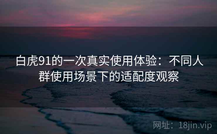 白虎91的一次真实使用体验：不同人群使用场景下的适配度观察