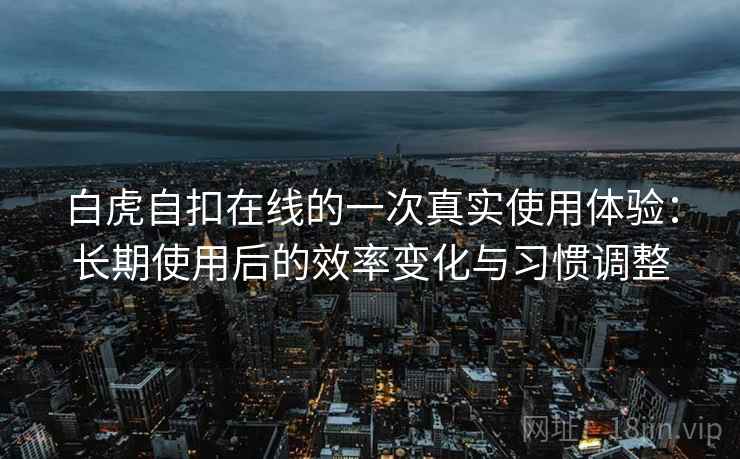白虎自扣在线的一次真实使用体验：长期使用后的效率变化与习惯调整