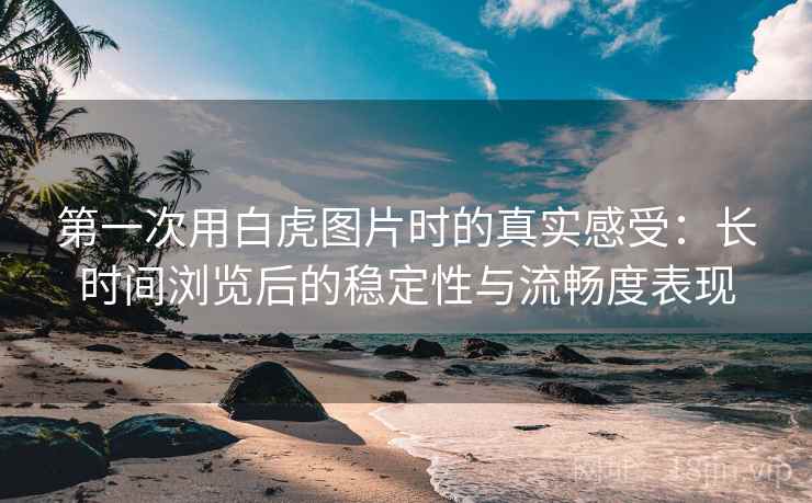 第一次用白虎图片时的真实感受：长时间浏览后的稳定性与流畅度表现