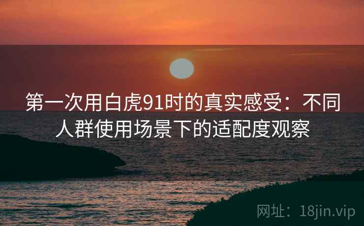 第一次用白虎91时的真实感受：不同人群使用场景下的适配度观察