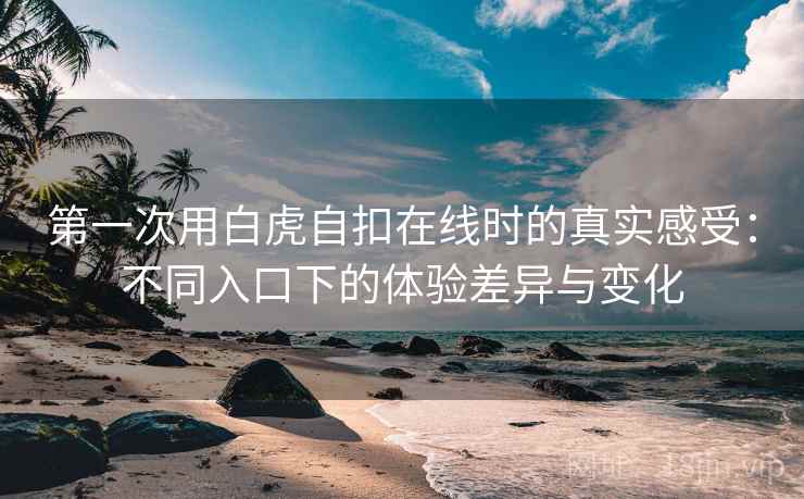 第一次用白虎自扣在线时的真实感受：不同入口下的体验差异与变化