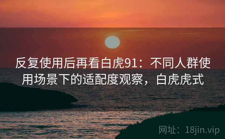 反复使用后再看白虎91：不同人群使用场景下的适配度观察，白虎虎式