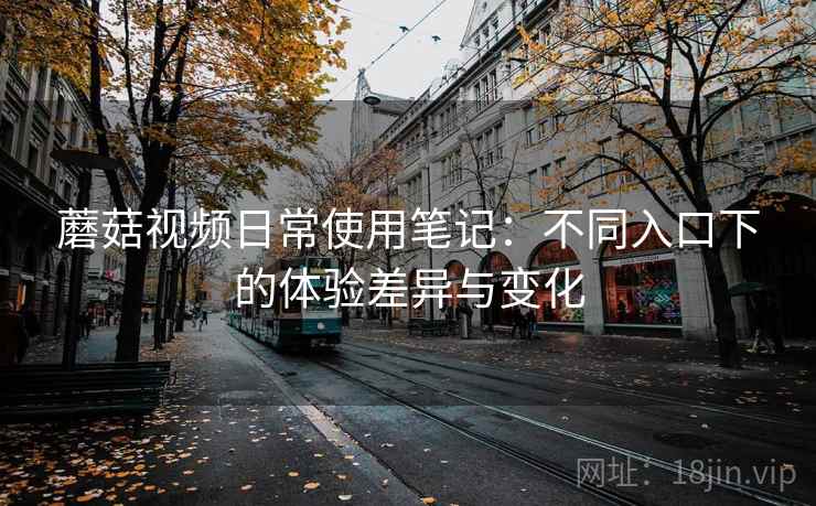 蘑菇视频日常使用笔记：不同入口下的体验差异与变化