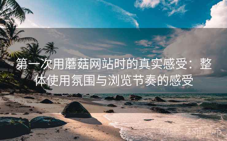 第一次用蘑菇网站时的真实感受：整体使用氛围与浏览节奏的感受