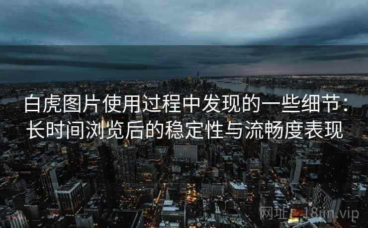 白虎图片使用过程中发现的一些细节：长时间浏览后的稳定性与流畅度表现