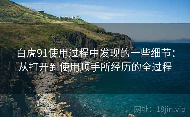 白虎91使用过程中发现的一些细节：从打开到使用顺手所经历的全过程