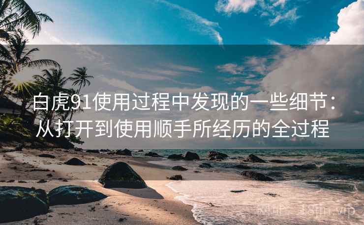 白虎91使用过程中发现的一些细节：从打开到使用顺手所经历的全过程