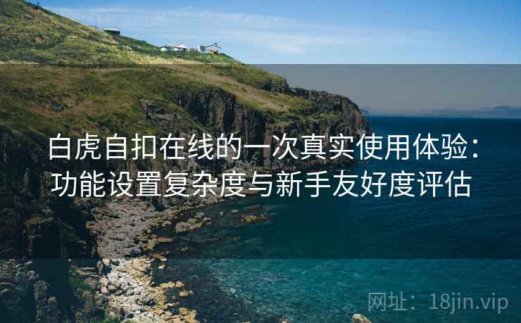白虎自扣在线的一次真实使用体验：功能设置复杂度与新手友好度评估