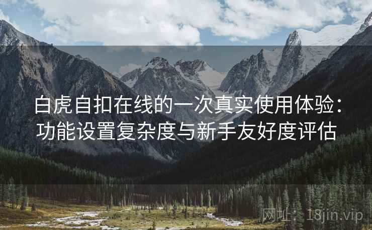 白虎自扣在线的一次真实使用体验：功能设置复杂度与新手友好度评估