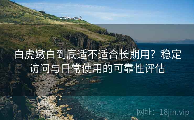 白虎嫩白到底适不适合长期用？稳定访问与日常使用的可靠性评估