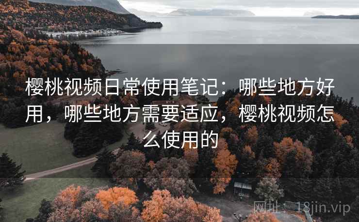 樱桃视频日常使用笔记：哪些地方好用，哪些地方需要适应，樱桃视频怎么使用的