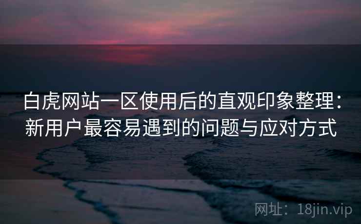 白虎网站一区使用后的直观印象整理：新用户最容易遇到的问题与应对方式