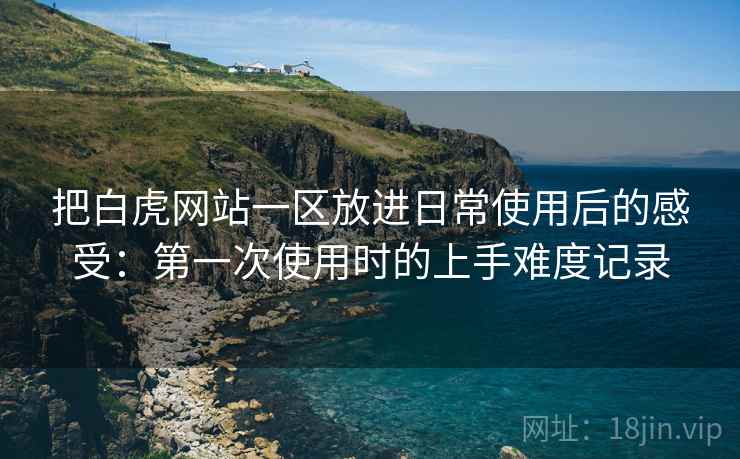 把白虎网站一区放进日常使用后的感受：第一次使用时的上手难度记录