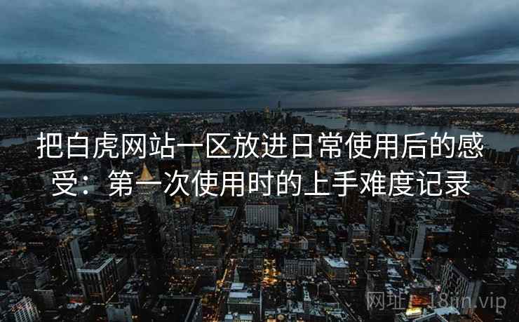 把白虎网站一区放进日常使用后的感受：第一次使用时的上手难度记录