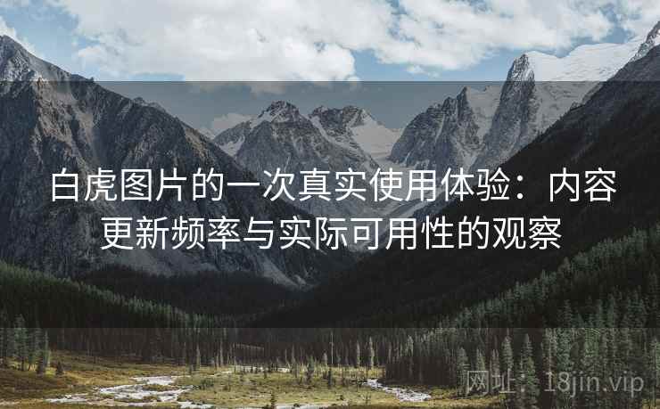 白虎图片的一次真实使用体验：内容更新频率与实际可用性的观察