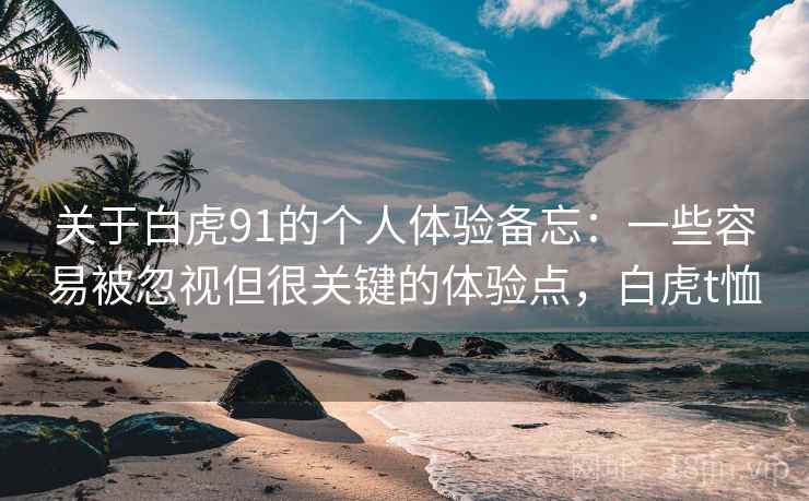 关于白虎91的个人体验备忘：一些容易被忽视但很关键的体验点，白虎t恤
