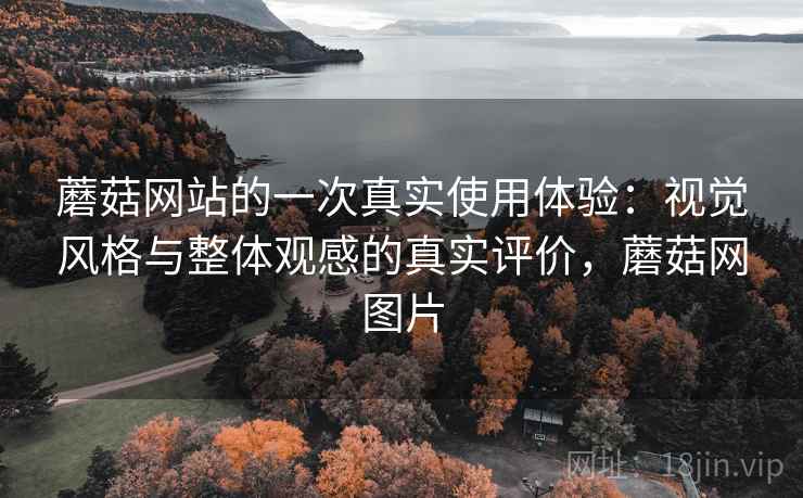 蘑菇网站的一次真实使用体验：视觉风格与整体观感的真实评价，蘑菇网图片